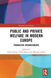 bokomslag Public and Private Welfare in Modern Europe