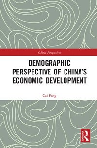 bokomslag Demographic Perspective of Chinas Economic Development