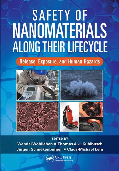 bokomslag Safety of Nanomaterials along Their Lifecycle