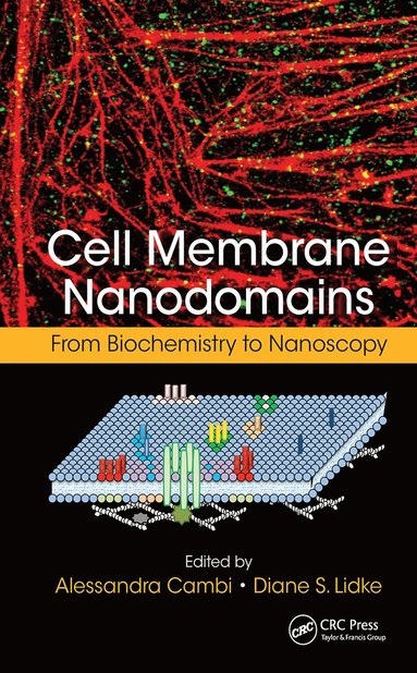 bokomslag Cell Membrane Nanodomains