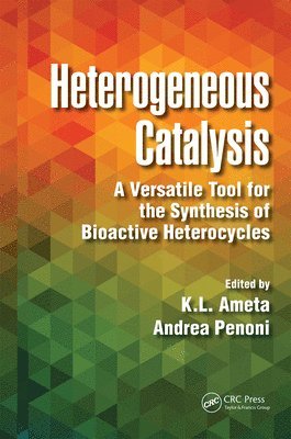 Ph.D. Ameta, Andrea Penoni, K. L. Ameta, K.L. Ameta Ph.D. - Heterogeneous Catalysis, Häftad