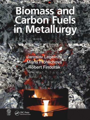 bokomslag Biomass and Carbon Fuels in Metallurgy