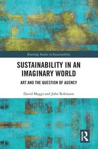 bokomslag Sustainability in an Imaginary World