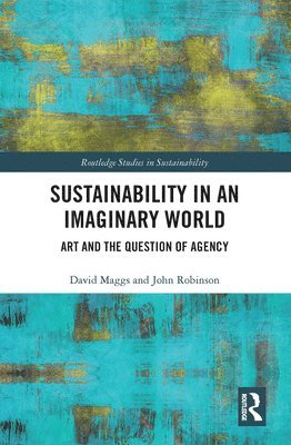 Sustainability in an Imaginary World 1