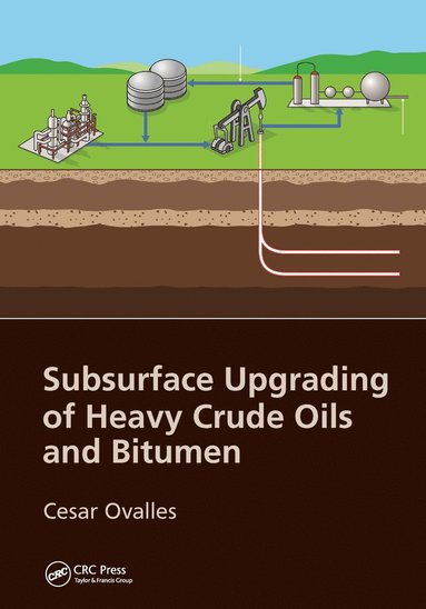 bokomslag Subsurface Upgrading of Heavy Crude Oils and Bitumen