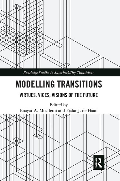 Enayat A. Moallemi, Fjalar J. de Haan - Modelling Transitions, Häftad