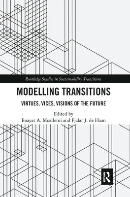 Enayat A. Moallemi, Fjalar J. de Haan - Modelling Transitions, Häftad