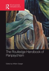bokomslag The Routledge Handbook of Panpsychism