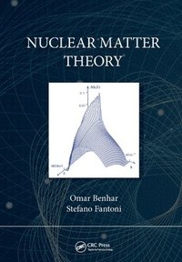 bokomslag Nuclear Matter Theory
