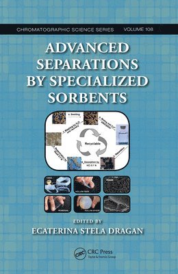 Ecaterina Stela Dragan - Advanced Separations by Specialized Sorbents, Häftad