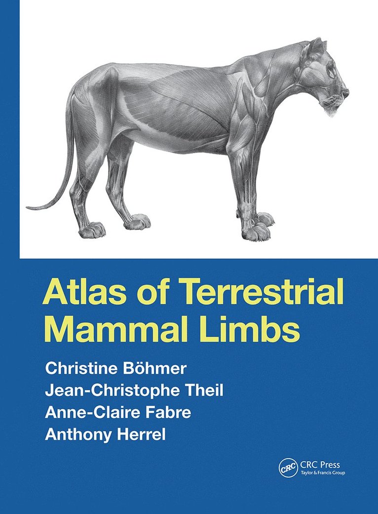 Atlas of Terrestrial Mammal Limbs 1