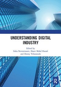 bokomslag Understanding Digital Industry