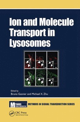 bokomslag Ion and Molecule Transport in Lysosomes