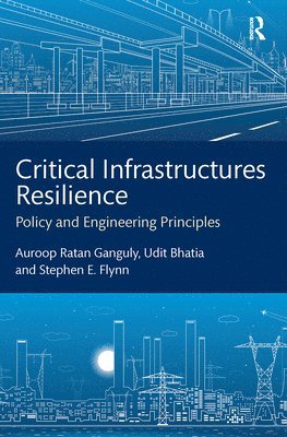 bokomslag Critical Infrastructures Resilience
