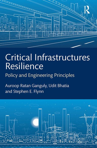 bokomslag Critical Infrastructures Resilience