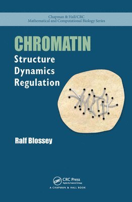 Chromatin 1