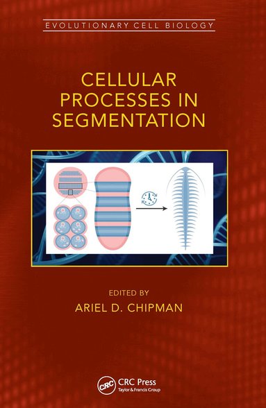 Ariel Chipman - Cellular Processes in Segmentation, Häftad