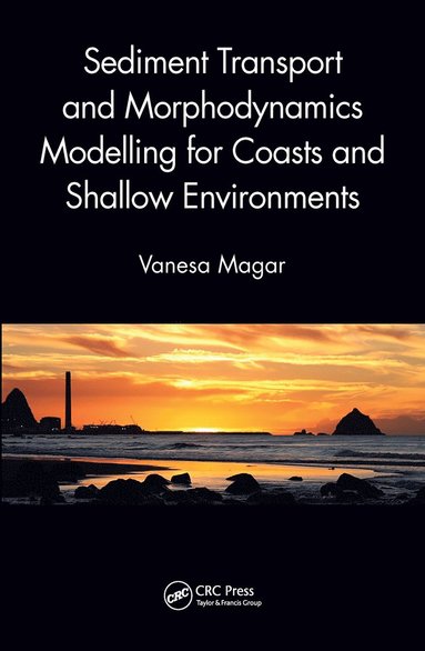 bokomslag Sediment Transport and Morphodynamics Modelling for Coasts and Shallow Environments