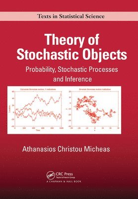 bokomslag Theory of Stochastic Objects