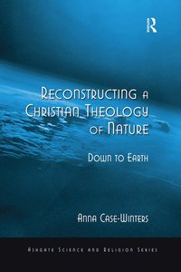 bokomslag Reconstructing a Christian Theology of Nature