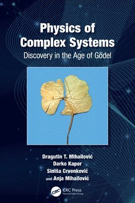 bokomslag Physics of Complex Systems