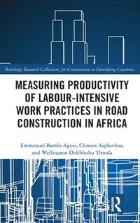 bokomslag Measuring Productivity of Labour-Intensive Work Practices in Road Construction in Africa
