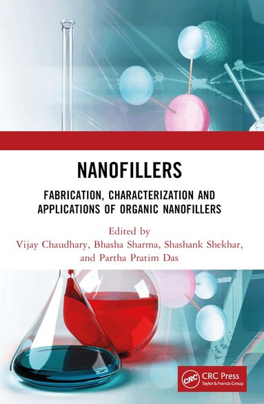 Partha Pratim Das, Shashank Shekhar, Bhasha Sharma, Vijay Chaudhary - Nanofillers, Häftad