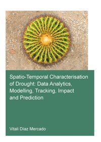 bokomslag Spatio-temporal characterisation of drought: data analytics, modelling, tracking, impact and prediction