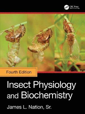 bokomslag Insect Physiology and Biochemistry