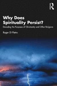 bokomslag Why Does Spirituality Persist?: Decoding the Purposes of Christianity and Other Religions