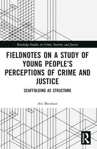 bokomslag Fieldnotes on a Study of Young Peoples Perceptions of Crime and Justice