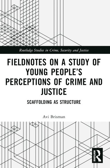 bokomslag Fieldnotes on a Study of Young People's Perceptions of Crime and Justice