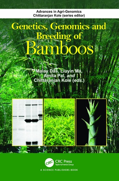Malay Das, Liuyin Ma, Amita Pal, Chittaranjan Kole - Genetics, Genomics and Breeding of Bamboos, Inbunden