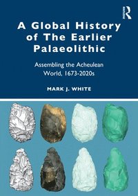 bokomslag A Global History of The Earlier Palaeolithic