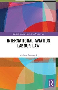 bokomslag International Aviation Labour Law