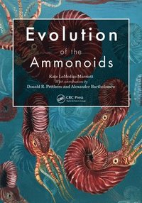 bokomslag Evolution of the Ammonoids