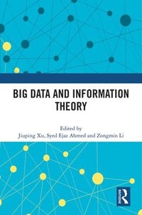 bokomslag Big Data and Information Theory