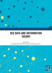 bokomslag Big Data and Information Theory