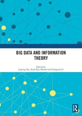 bokomslag Big Data and Information Theory