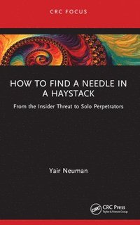 bokomslag How to Find a Needle in a Haystack