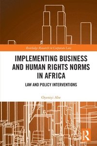 bokomslag Implementing Business and Human Rights Norms in Africa: Law and Policy Interventions