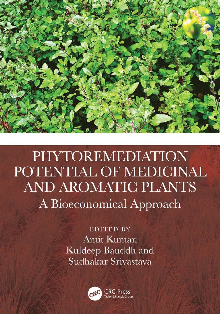 Amit Kumar, Kuldeep Bauddh, Sudhakar Srivastava, Amit (Lucknow Univ.) Kumar, Kuldeep (Central Univ. of Jharkhand) Bauddh, Sudhakar (Banaras Hindu Univ.) Srivastava - Phytoremediation Potential of Medicinal and Aromatic Plants, Inbunden