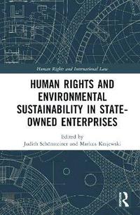 bokomslag Human Rights and Environmental Sustainability in State-Owned Enterprises
