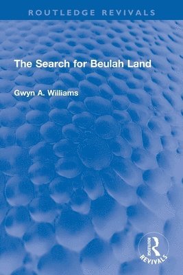 bokomslag The Search for Beulah Land