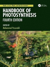bokomslag Handbook of Photosynthesis