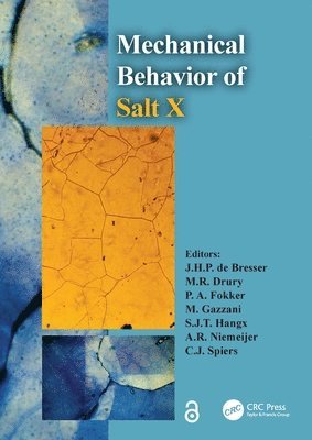 bokomslag The Mechanical Behavior of Salt X