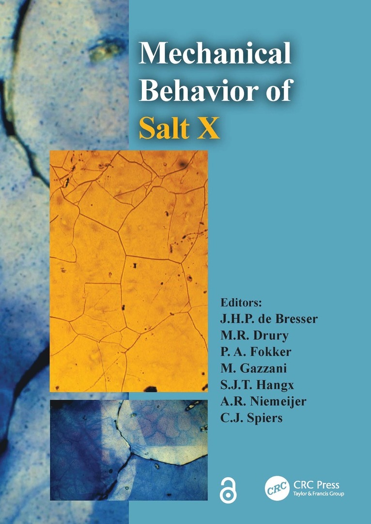 Mechanical Behavior of Salt X 1