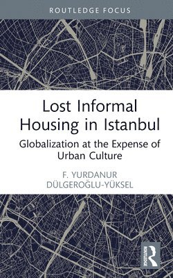 Lost Informal Housing in Istanbul 1