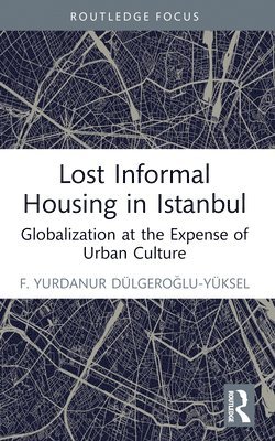 Lost Informal Housing in Istanbul 1