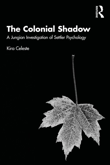 bokomslag Colonial Shadow